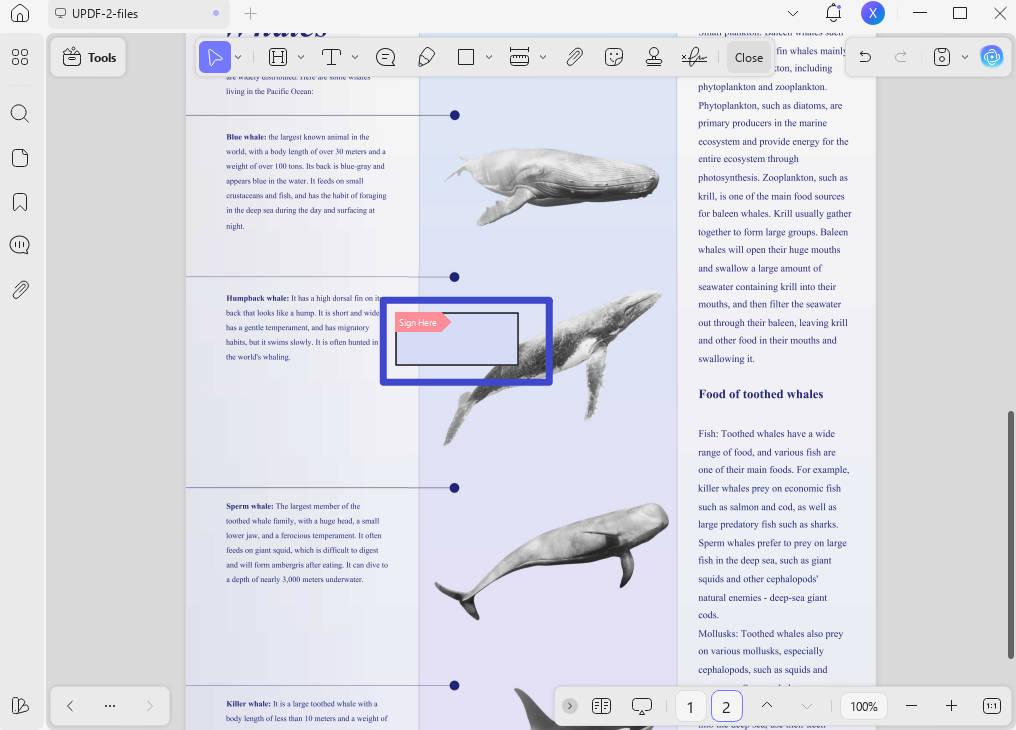 how to sign pdf with cac sign without sign area