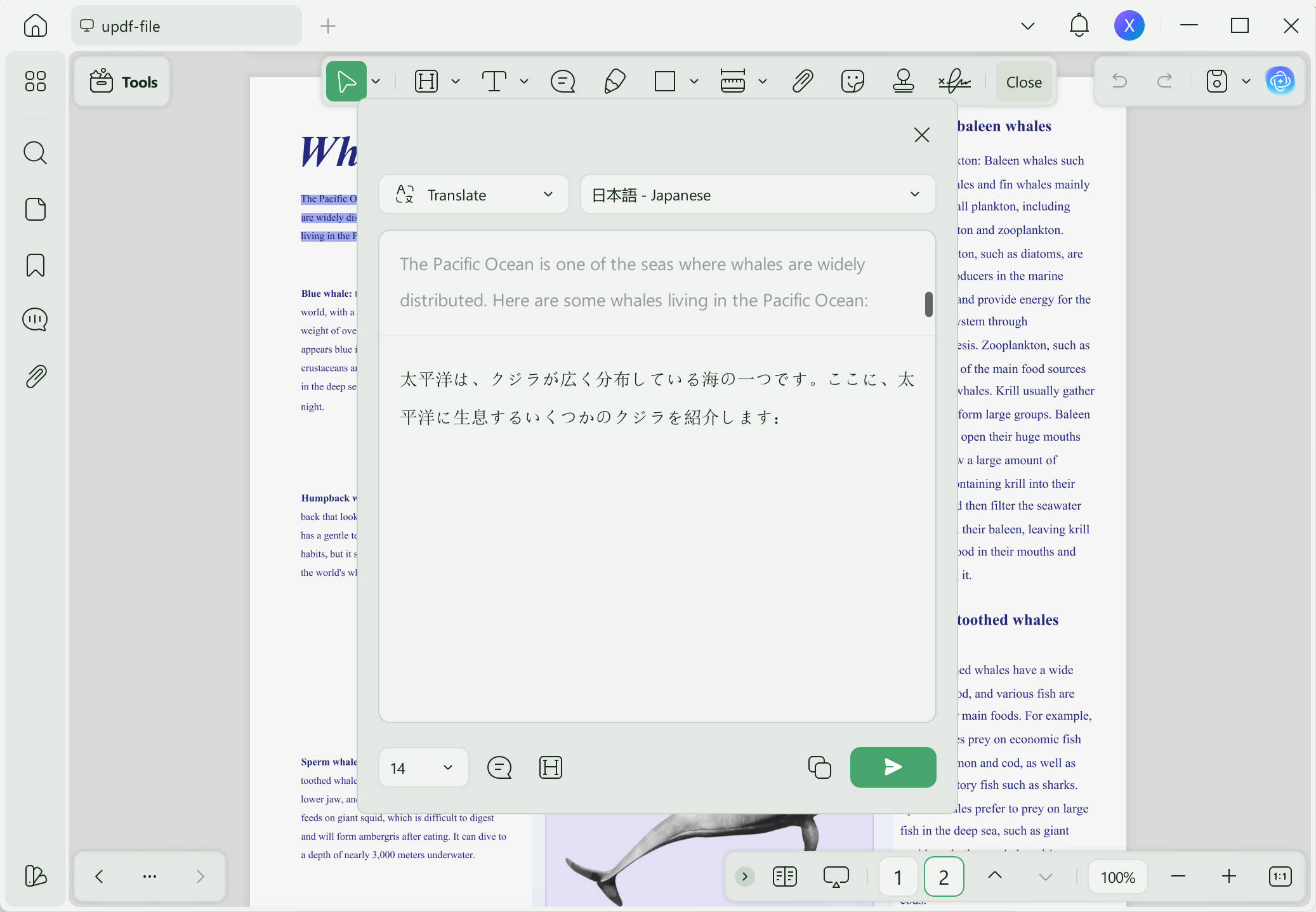Translation will appear in a separate box.