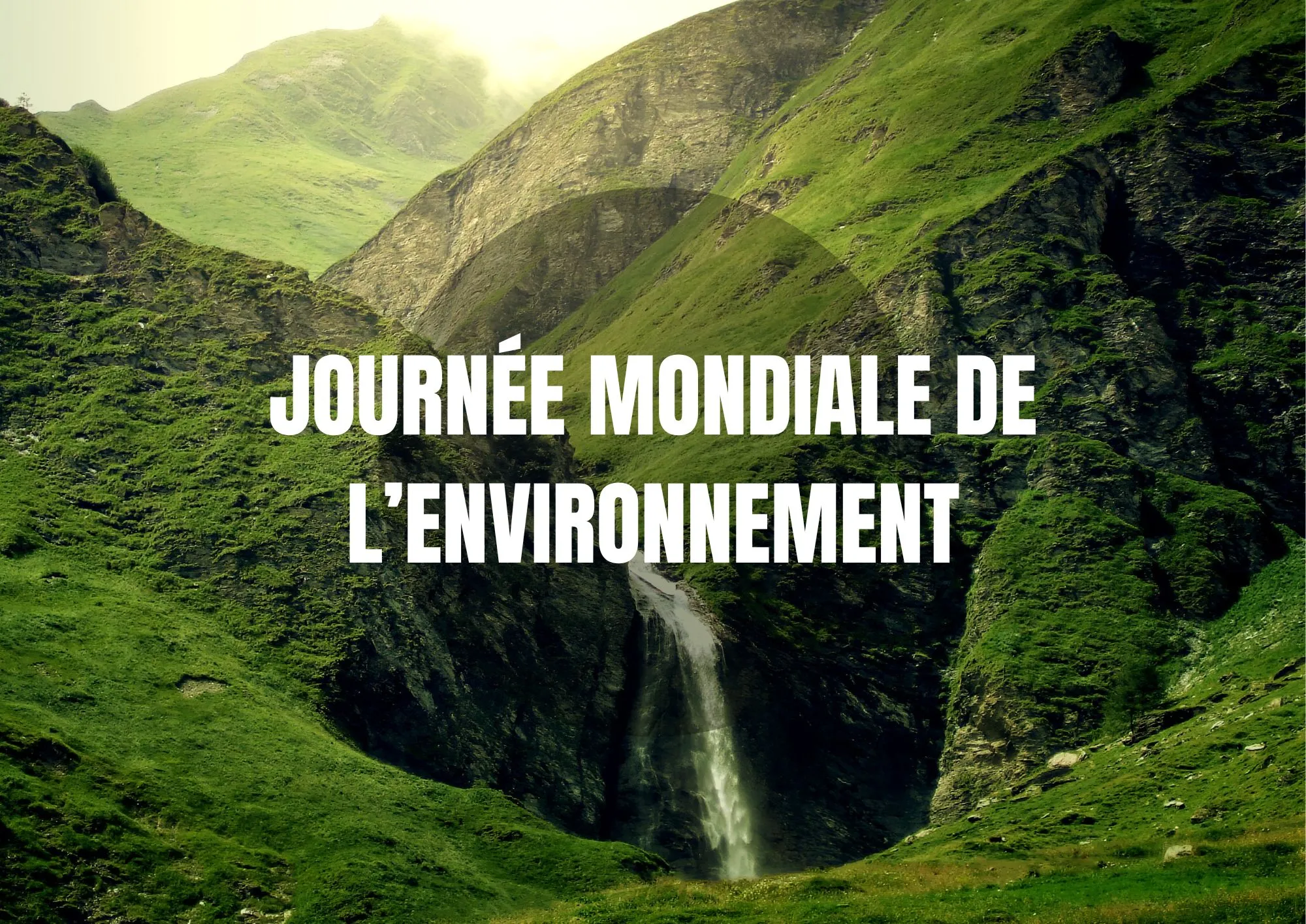 Inofrmations sur la Journée mondiale de l'environnement 2024