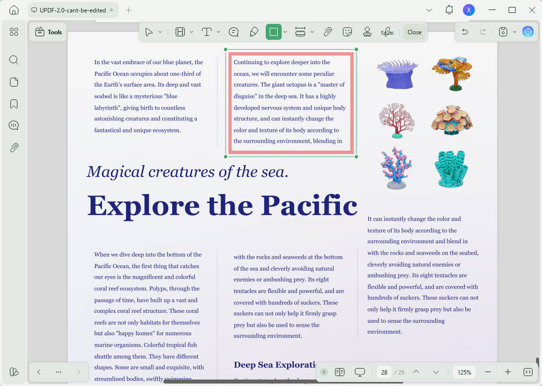 add border to pdf text