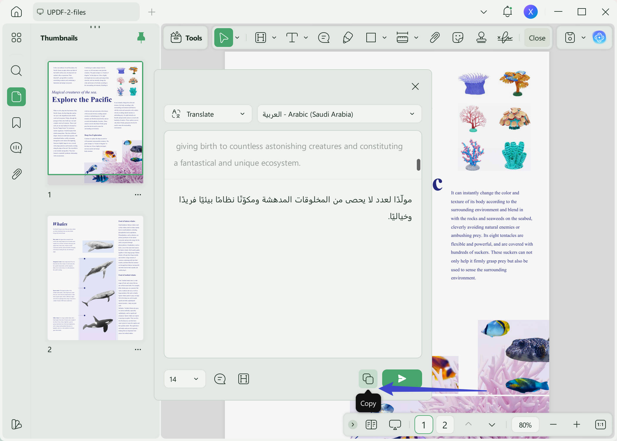translate english to arabic copy