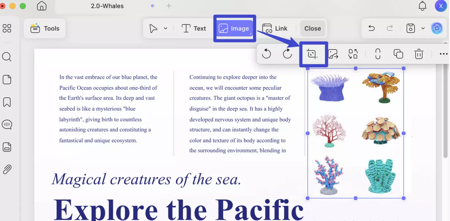 Crop images in PDF