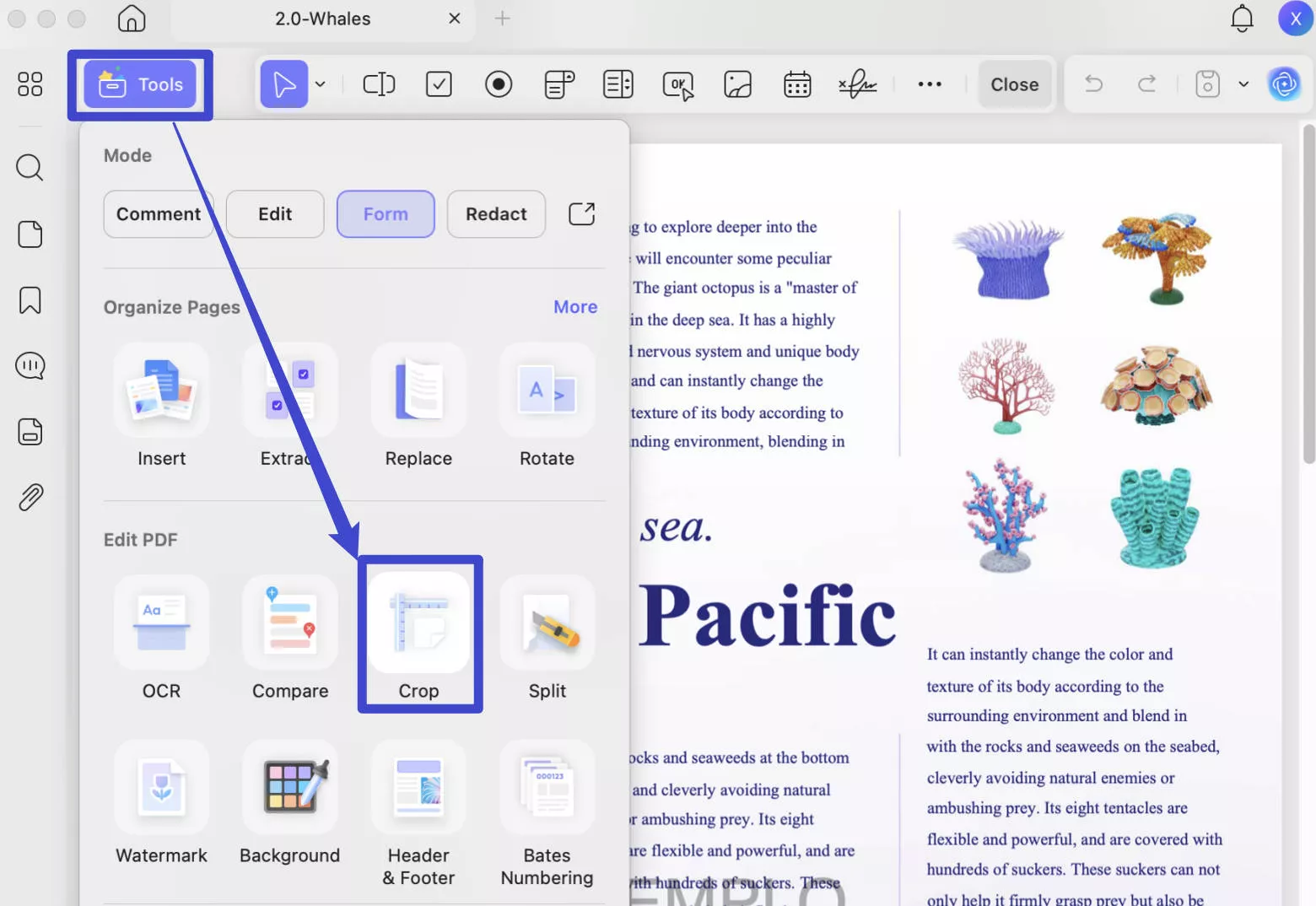 Crop pages
