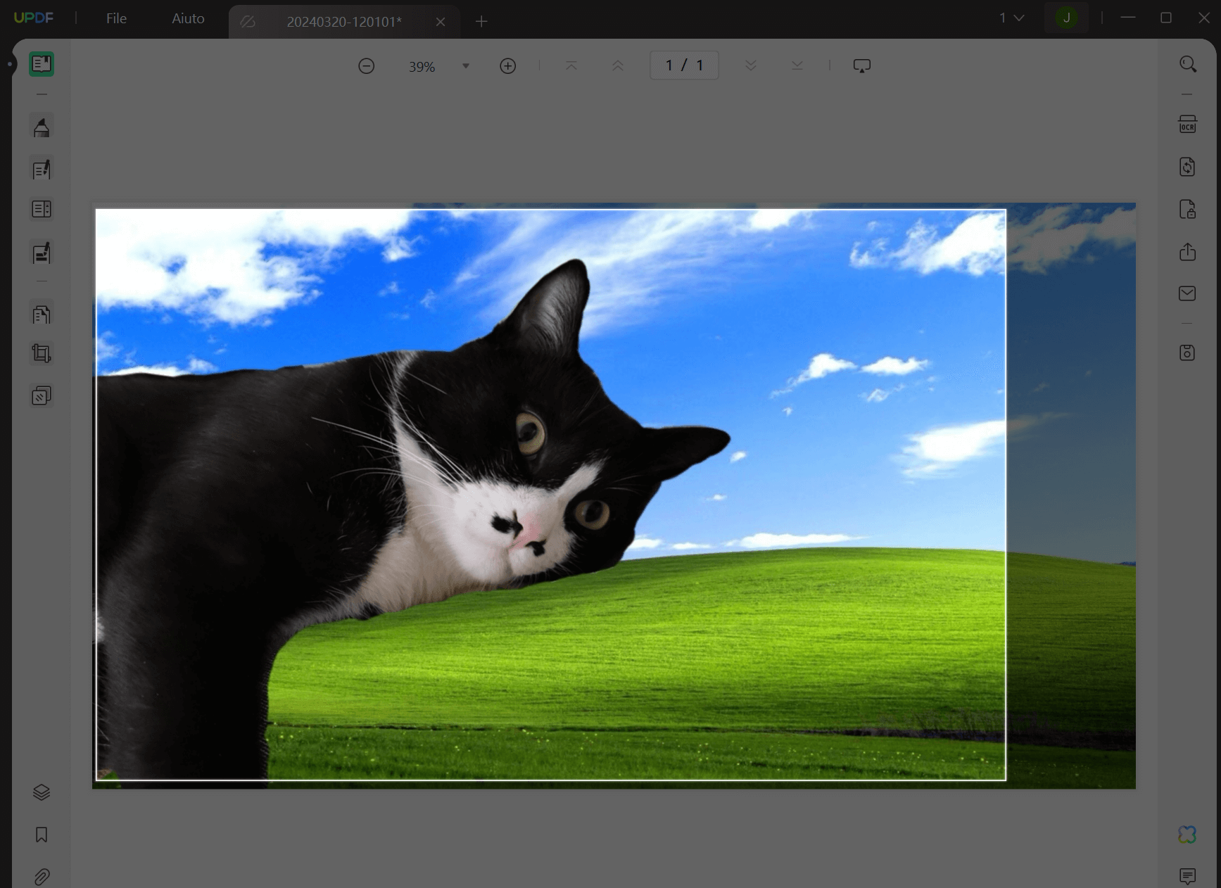 Fare uno screenshot di PDF e rimuovere lo sfondo