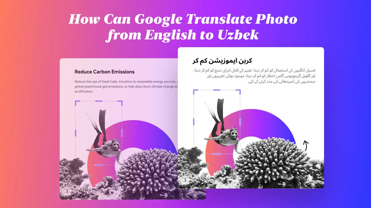 How Can Google Translate Photo from English to Uzbek (The Detailed Guide)