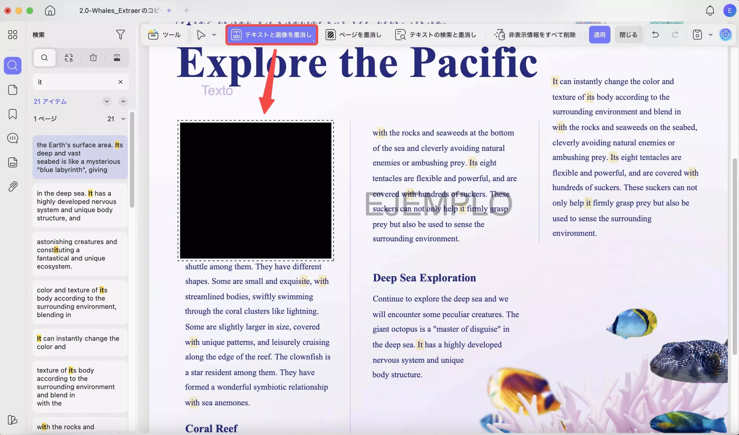 プレビュー表示での墨消し方法　墨消しマーク