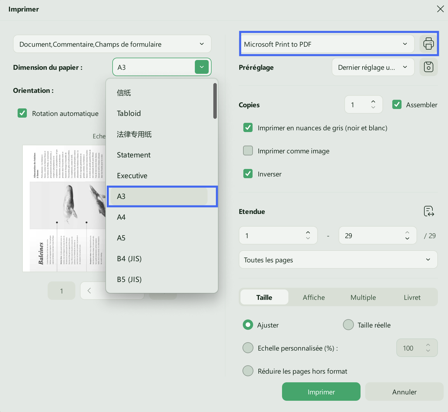 cliquez sur l'option d'impression