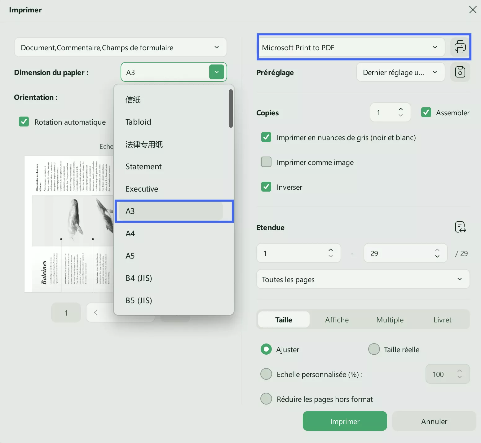 cliquez sur l'option d'impression