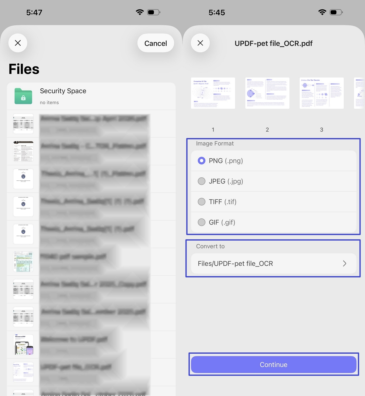 choose the image format and save location updf ios