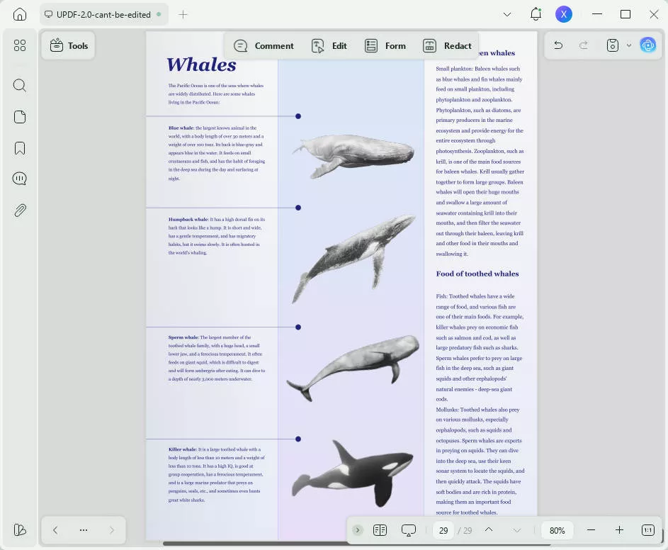 add border to pdf add border around pdf page updf