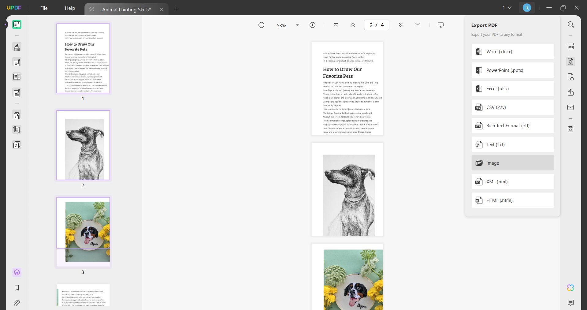 convert pdf to jpg google drive image