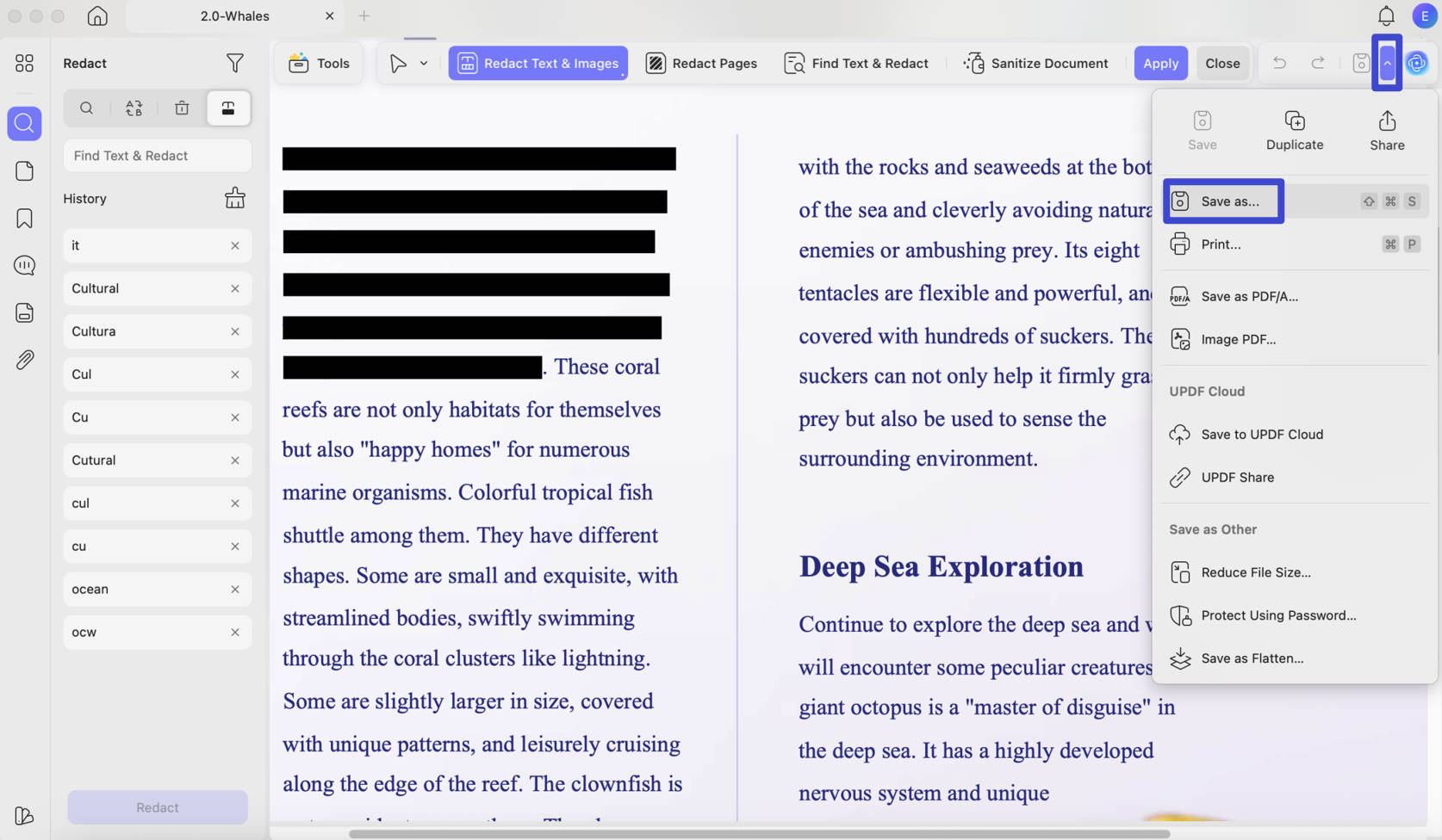 how to redact in preview save as
