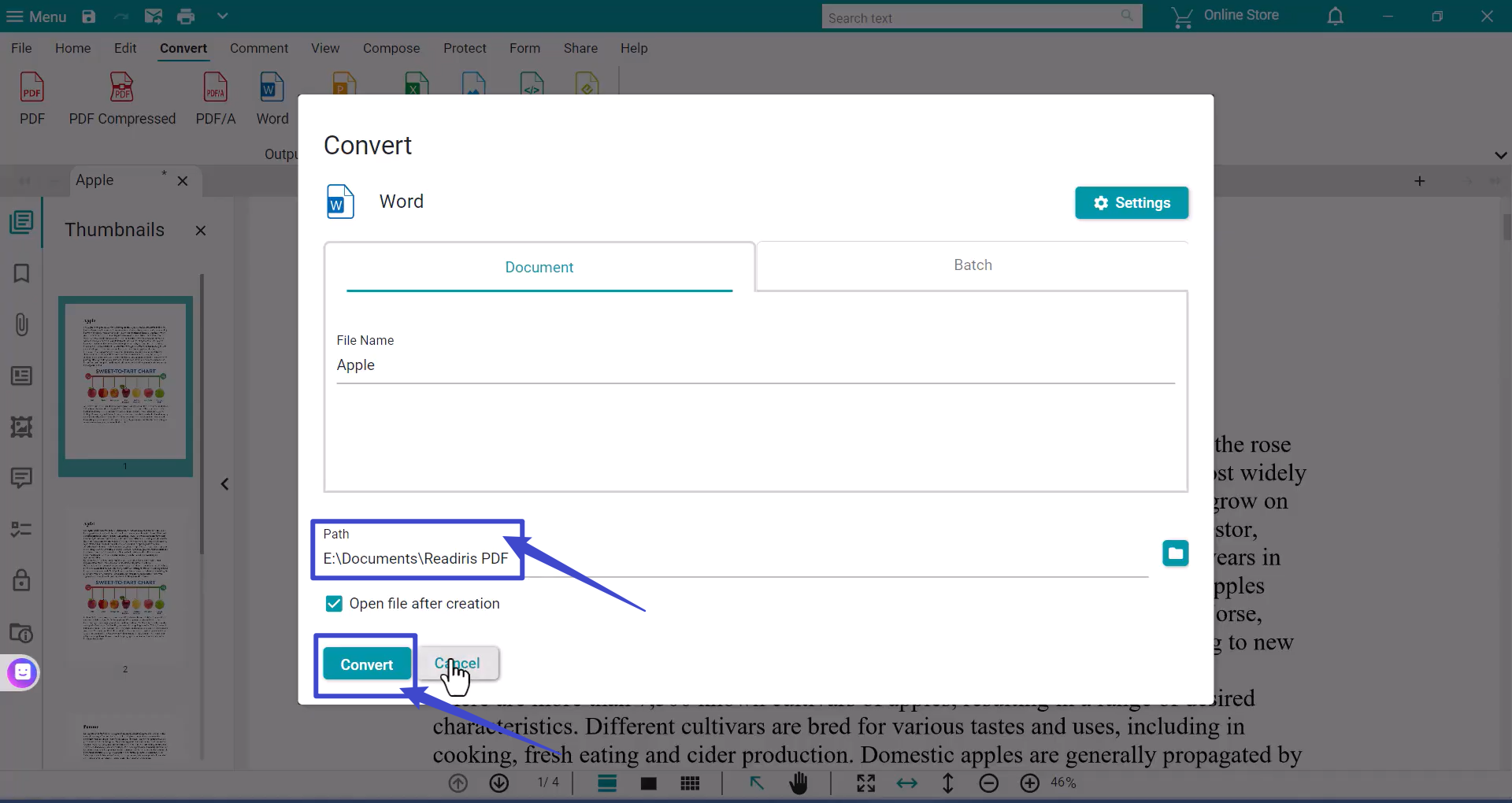 save the converted documents on iris
