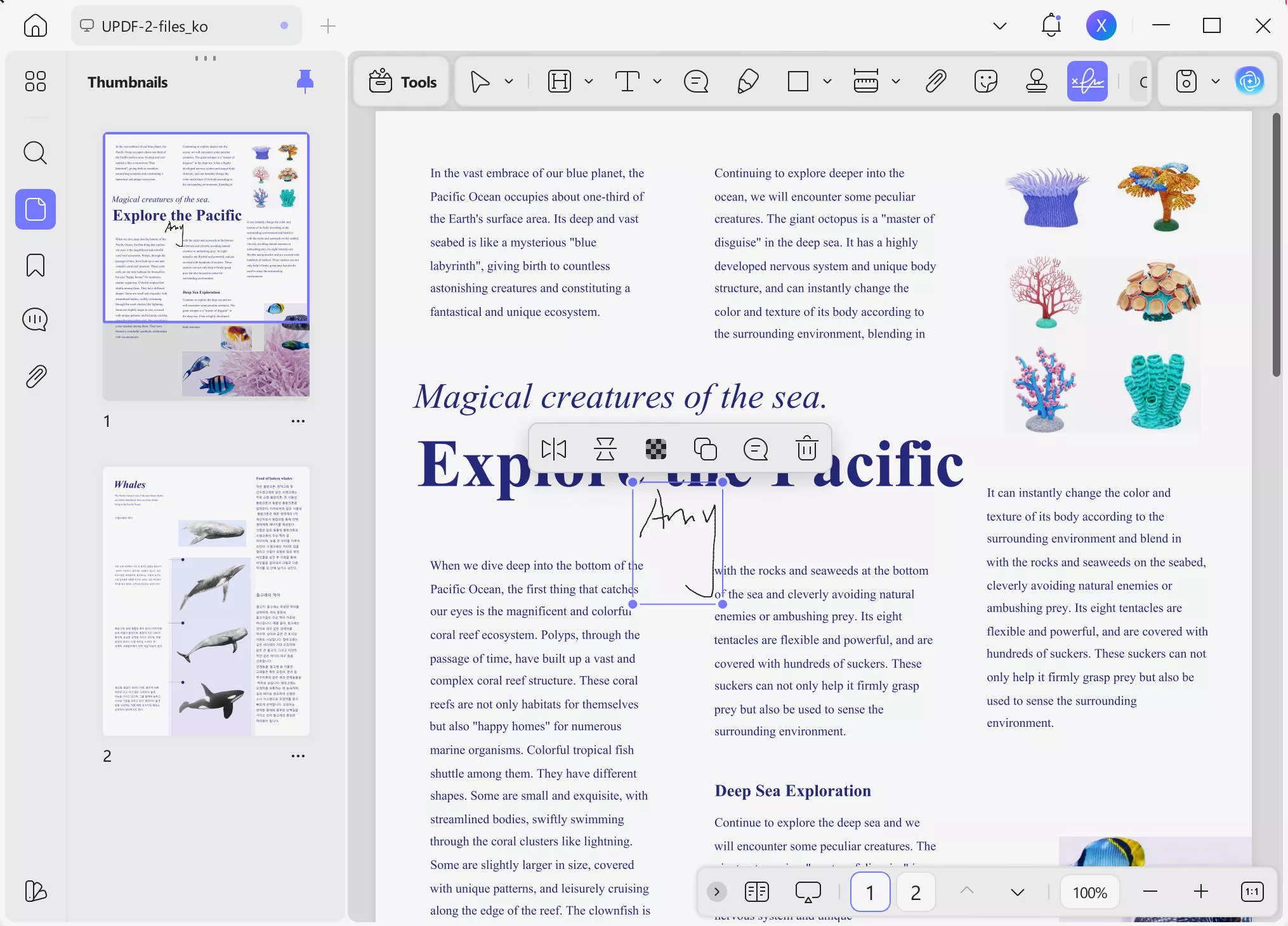 sign pdf in chrome change size