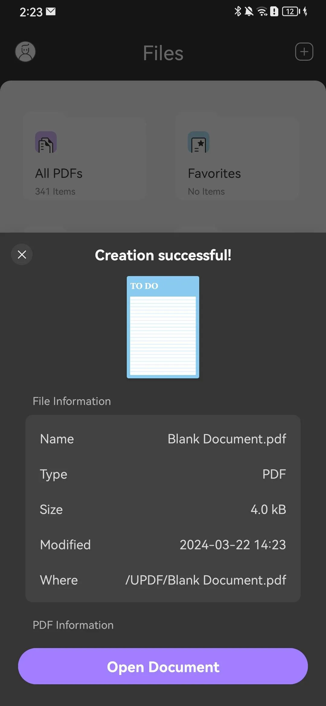 Information of the created PDF