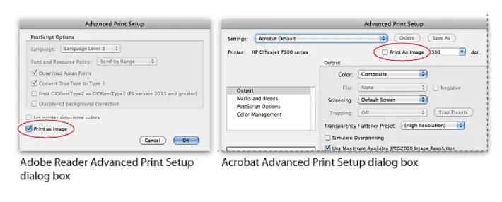 adobe the document could not be printed save pdf