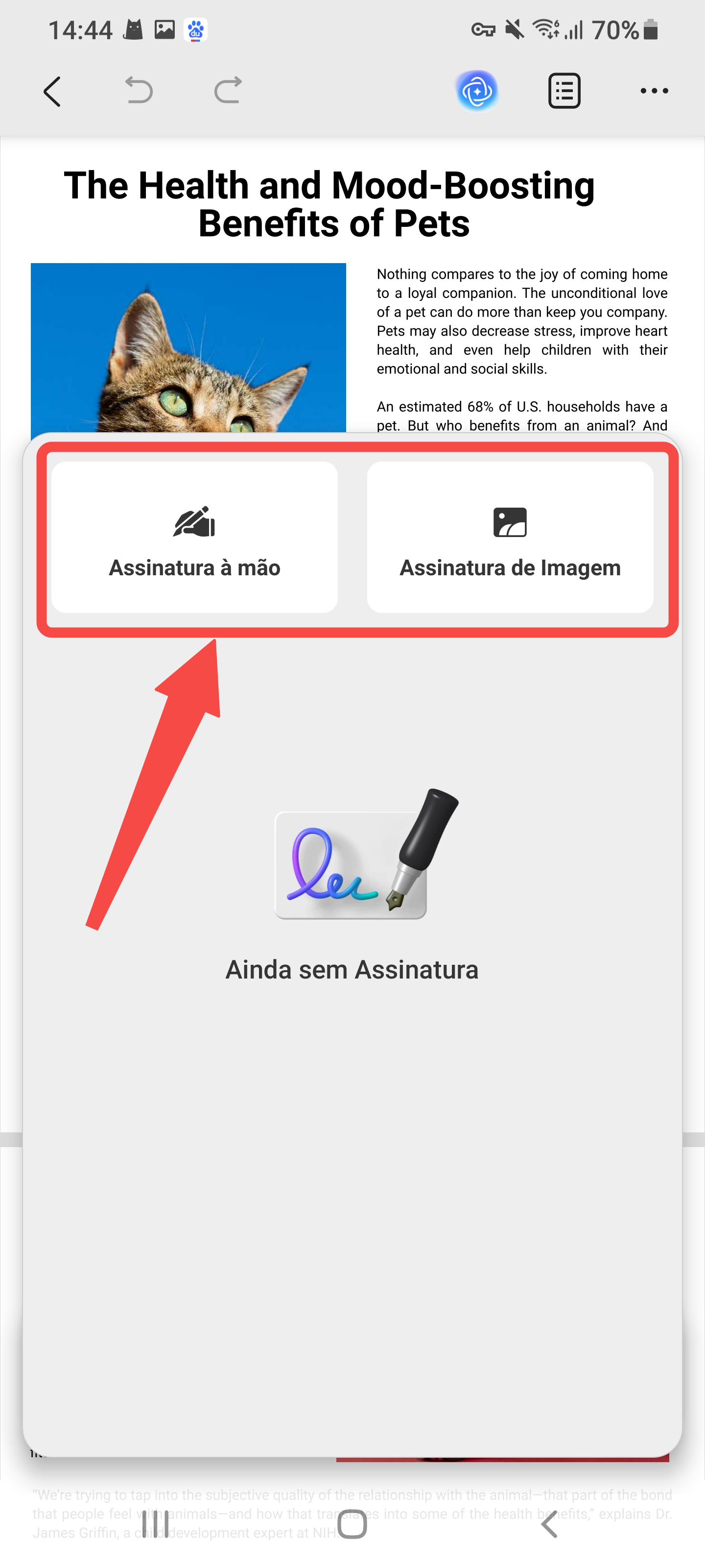 adicionar uma assinatura à mão