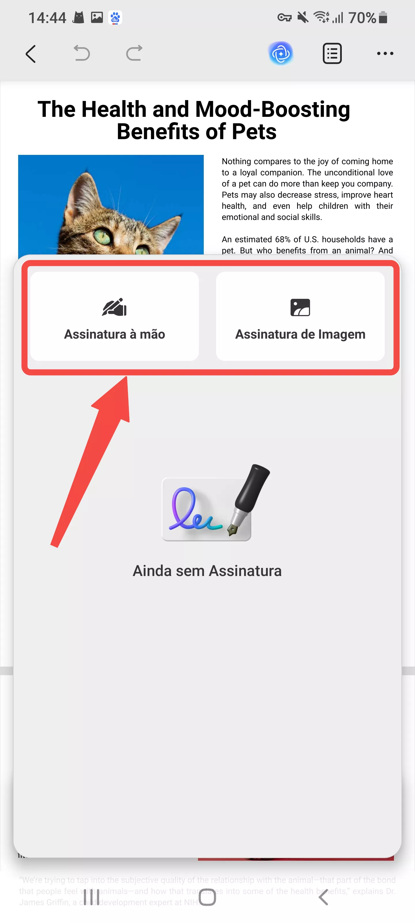adicionar uma assinatura à mão