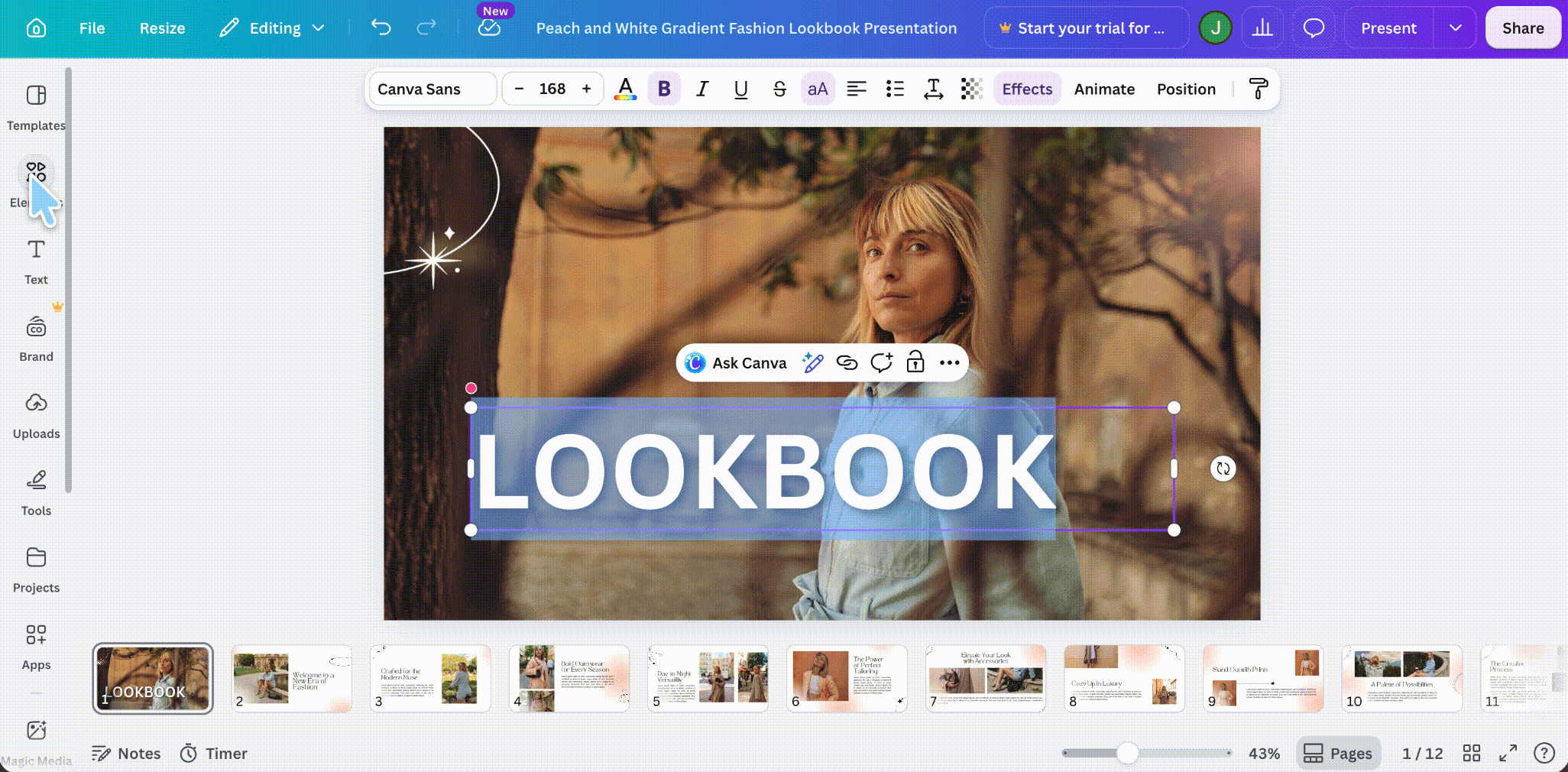 canva design the layout from scratch_compressed