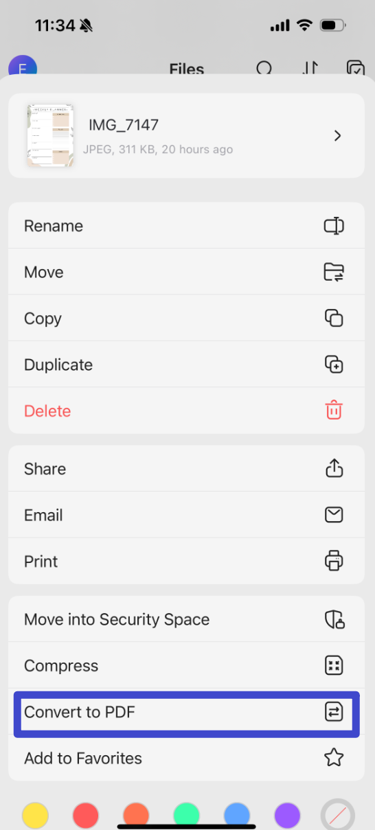convert to pdf