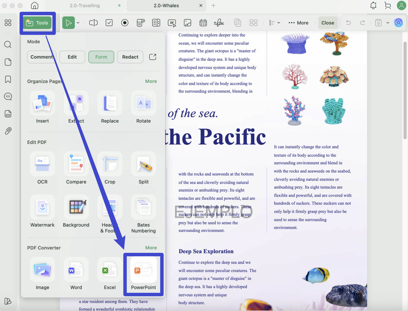 import pdf to keynote Export PDF to PowerPoint