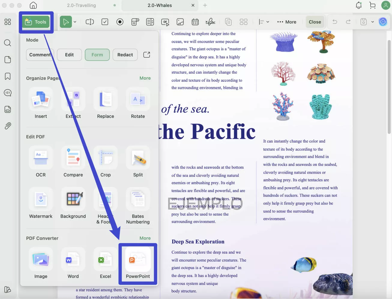 import pdf to keynote Export PDF to PowerPoint