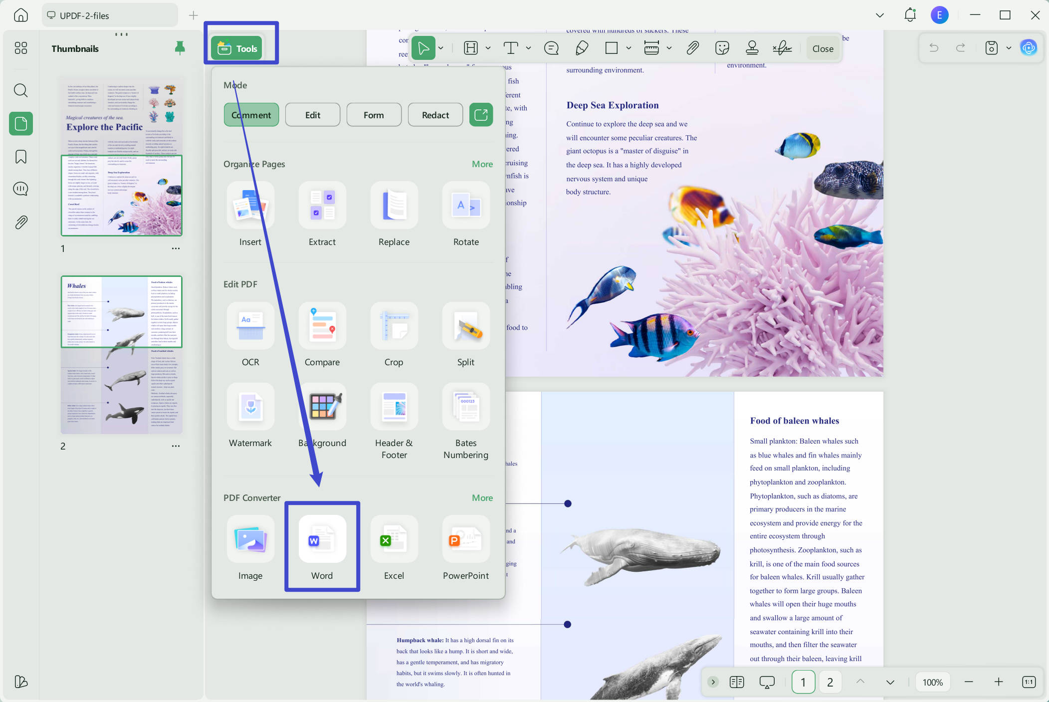 PDF to Word batch ocr
