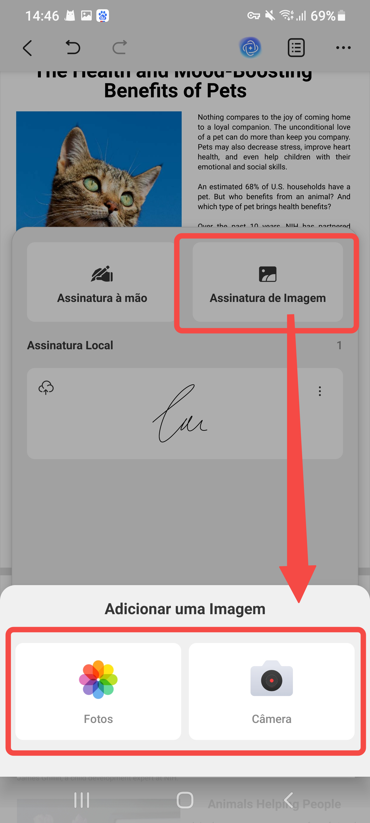 importar assinatura em imagem