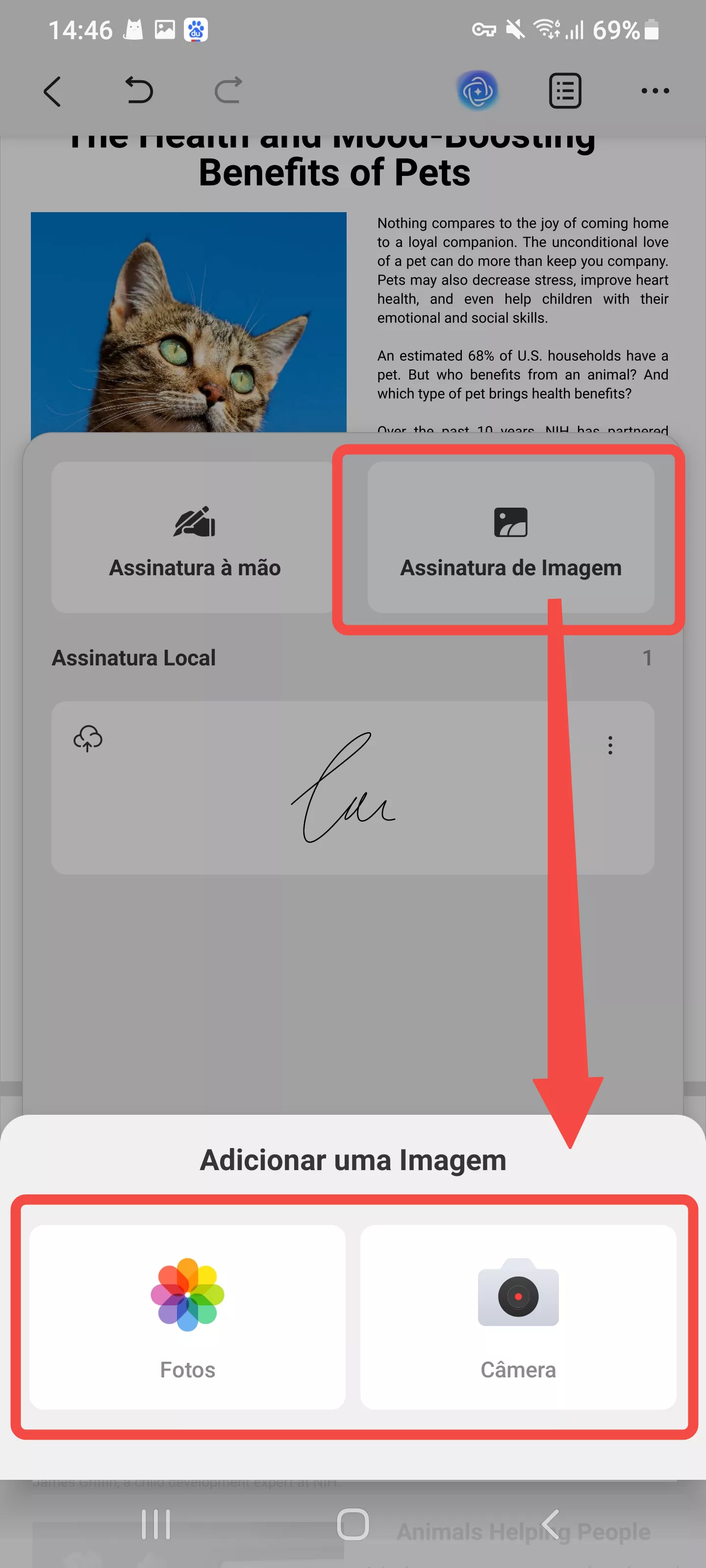 importar assinatura em imagem