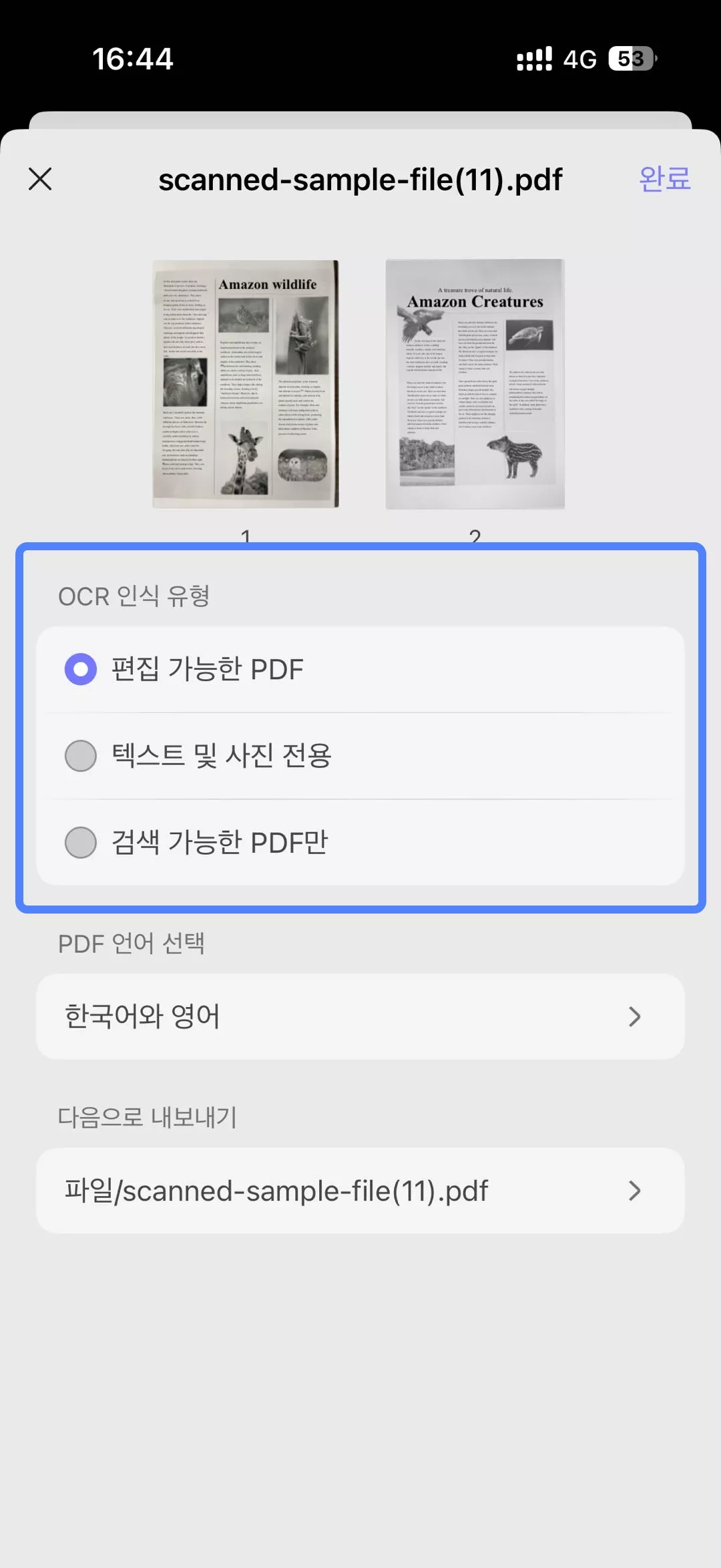 OCR 블랙 프라이데이 한국 할인