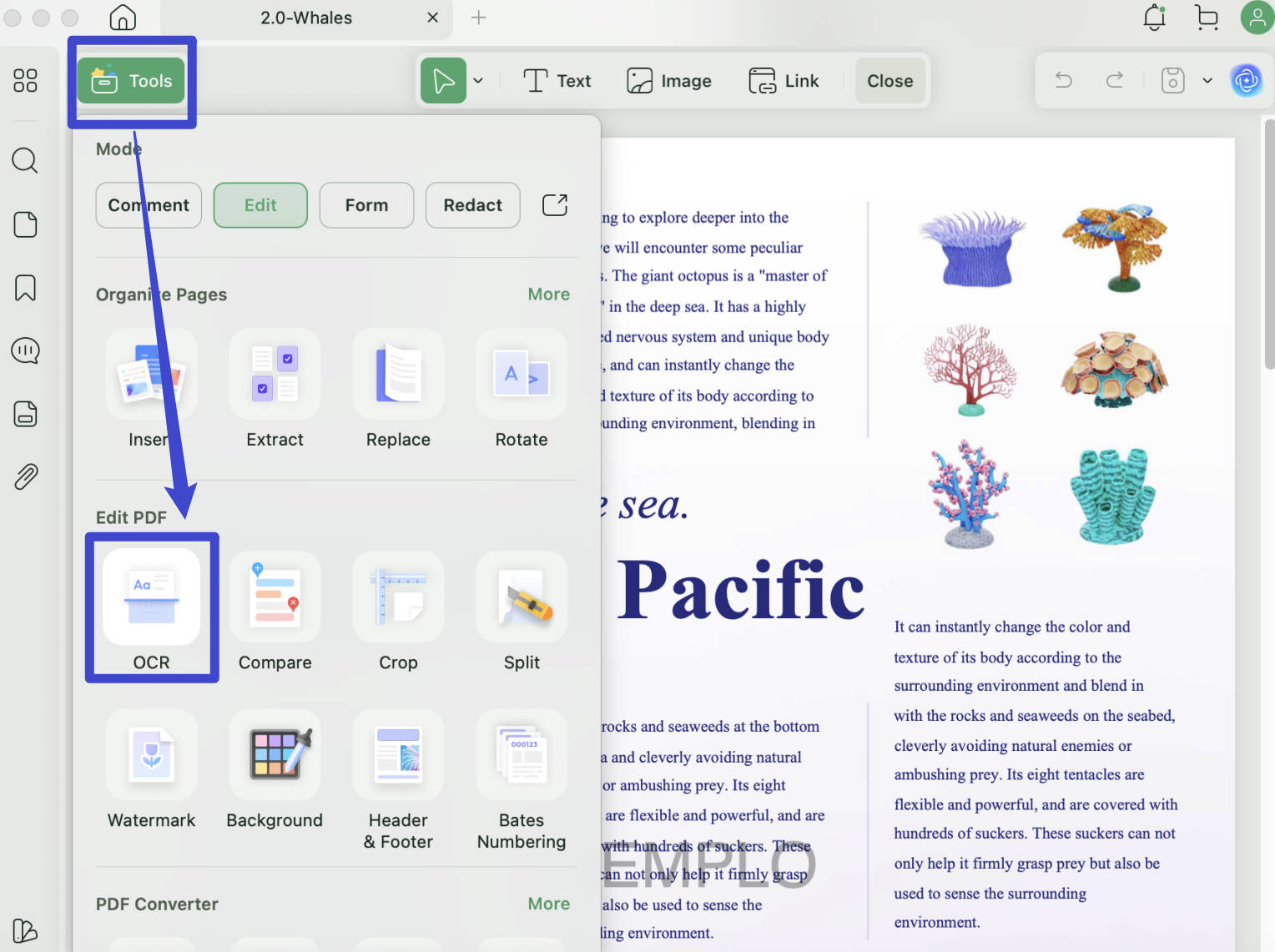 how to copy text from a pdf on a mac updf by ocr