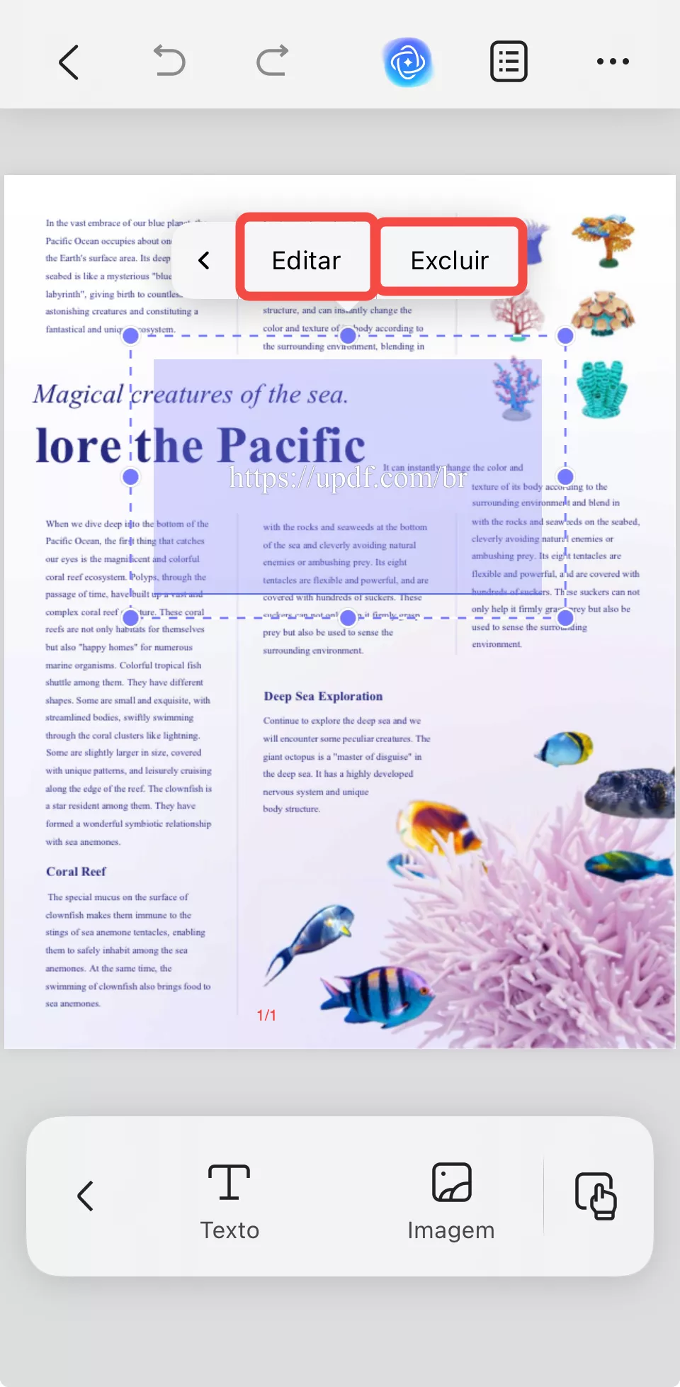 editar e excluir links