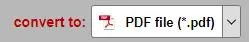 pptm to pdf  Output Format