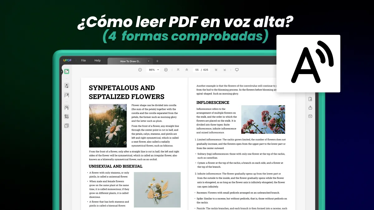 ¿Cómo leer PDF en voz alta? (4 formas comprobadas)