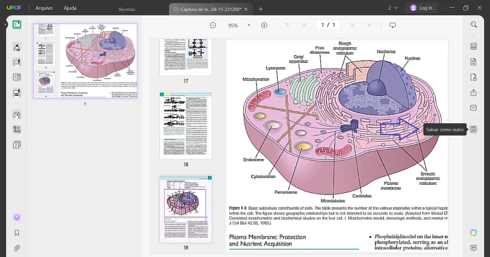 Renomear PDF