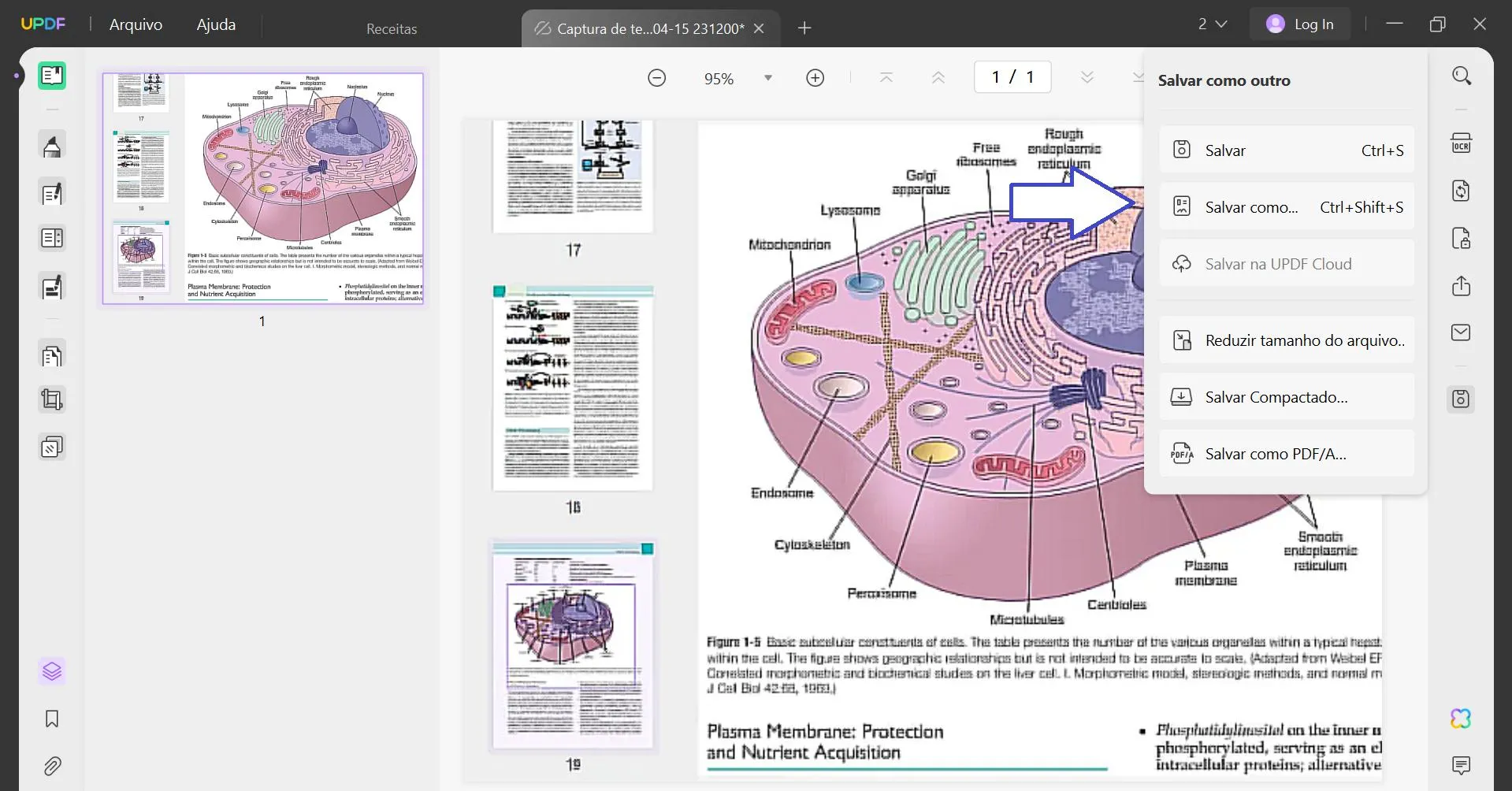 Renomear PDF