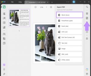 How to Convert Screenshot to Word? (Online and Offline) | UPDF