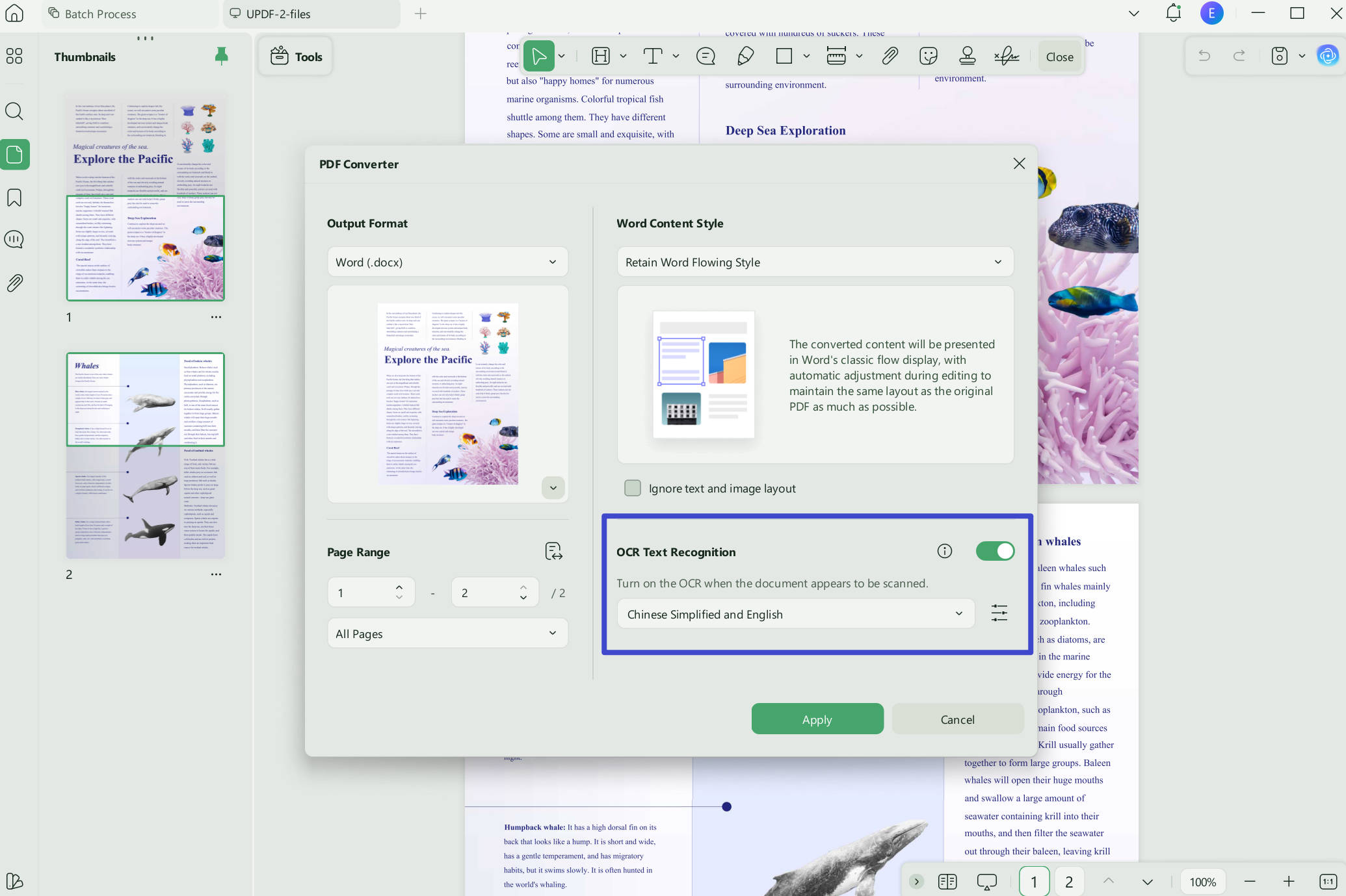 PDF to Word batch apply