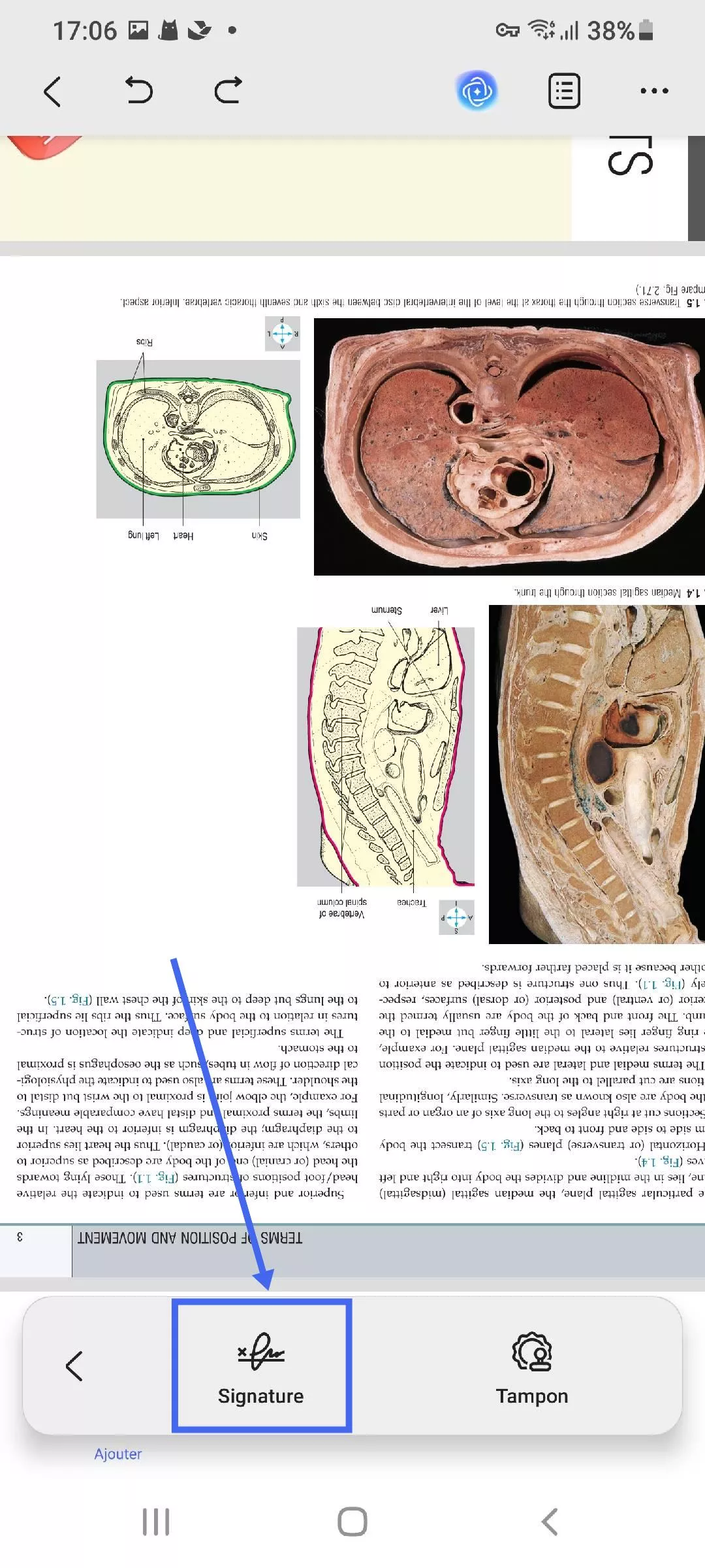 Ajouter une signature manuscrite ou image