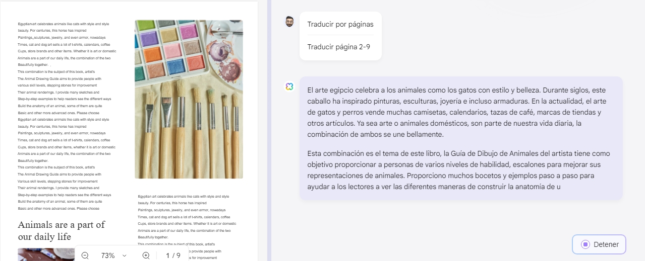 traduccion por paginas