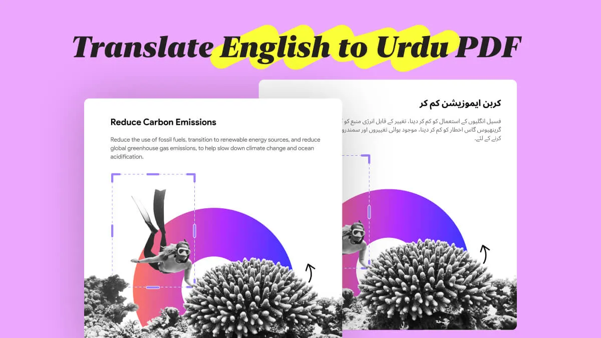 Easy-to-Follow Steps on How to Translate English to Urdu PDF with AI