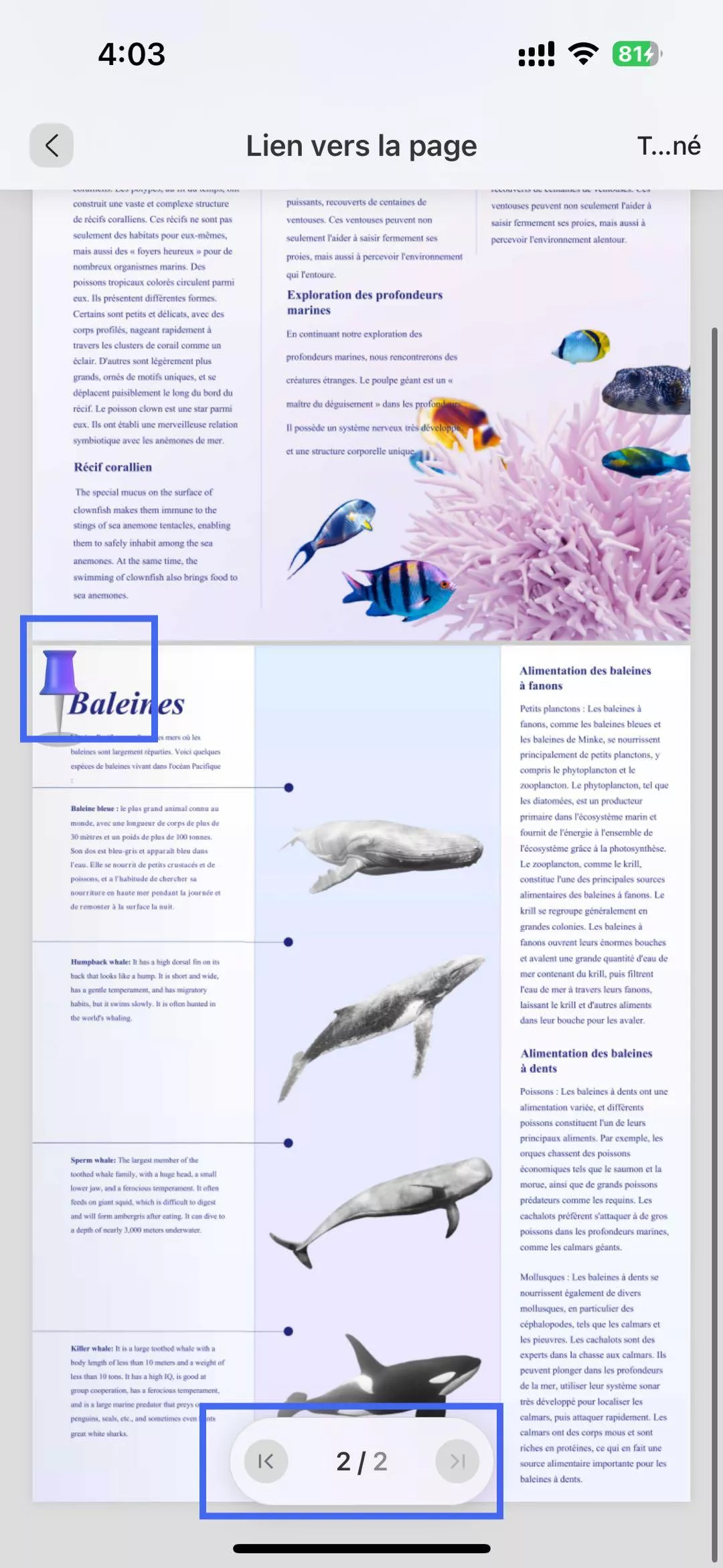 modifier le lien vers la page ios