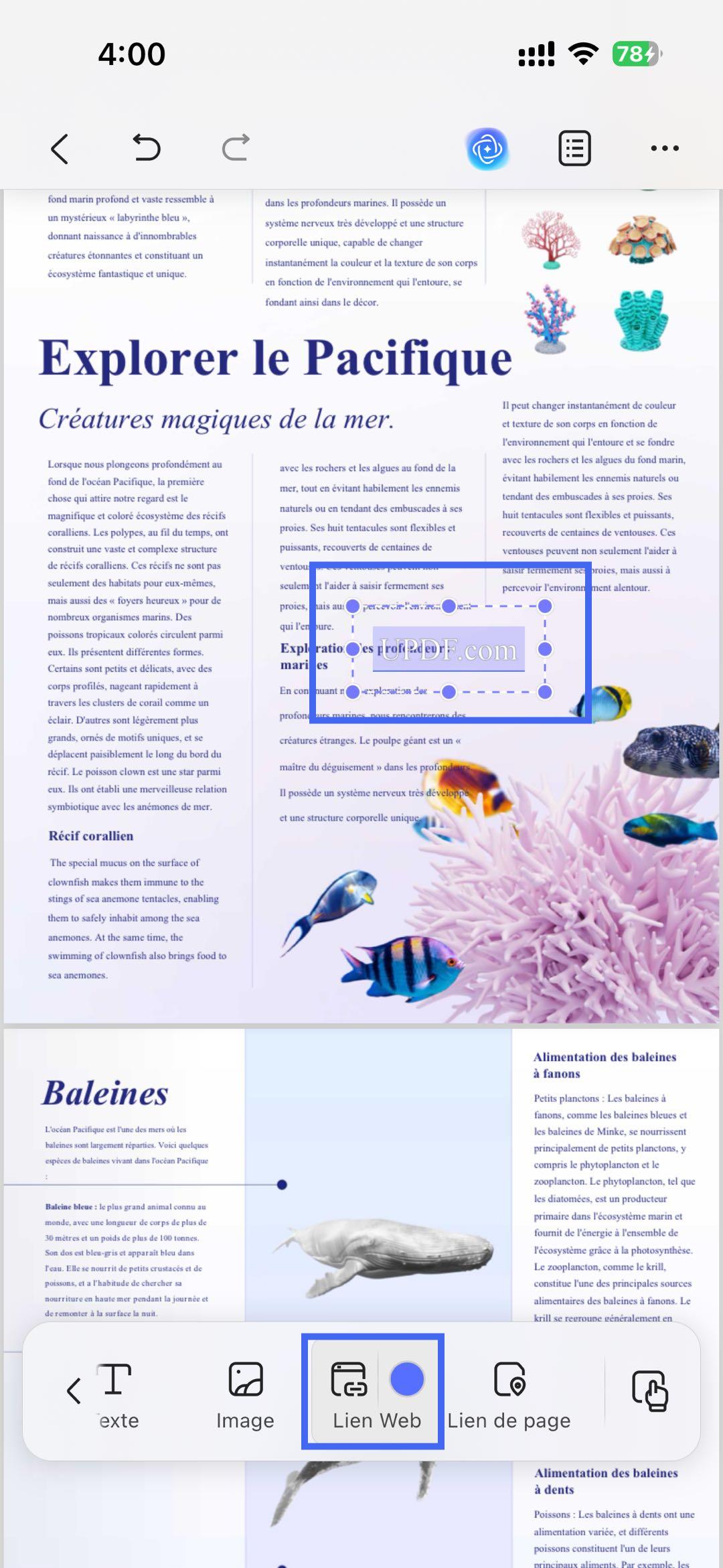 lien vers le Web