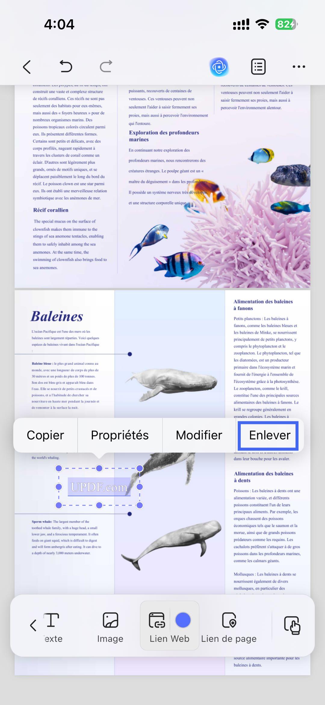 options pour éditer le lien