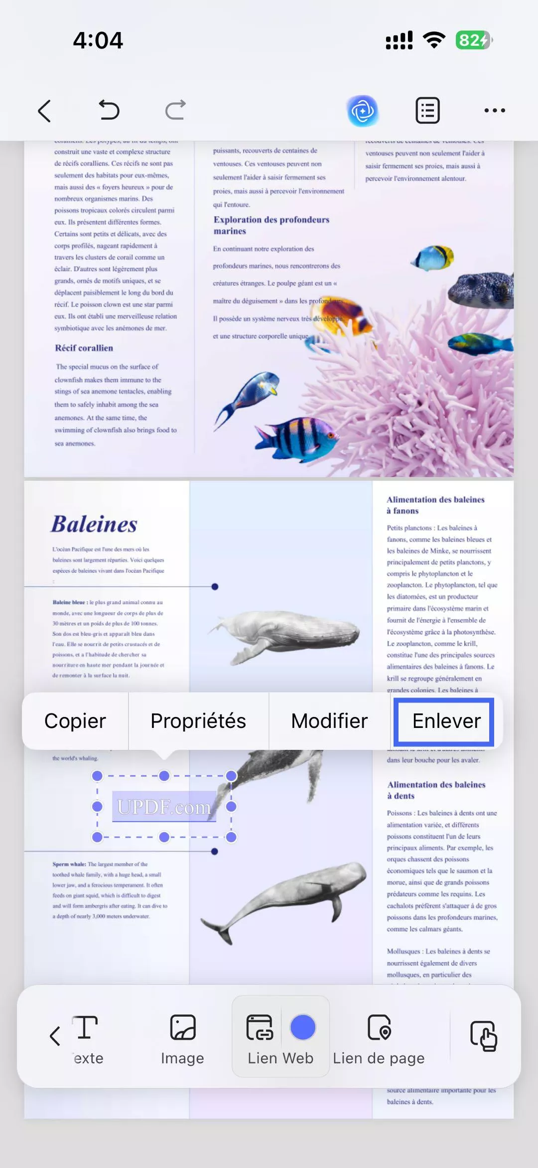 options pour éditer le lien