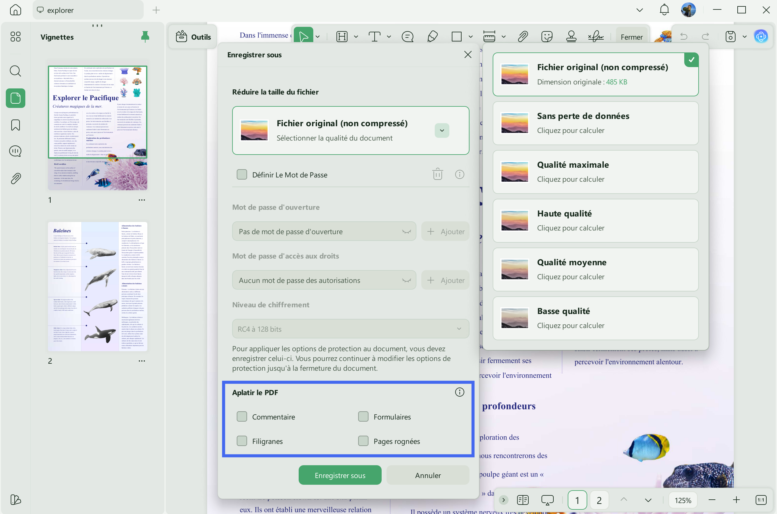 recherche fichier pdf google