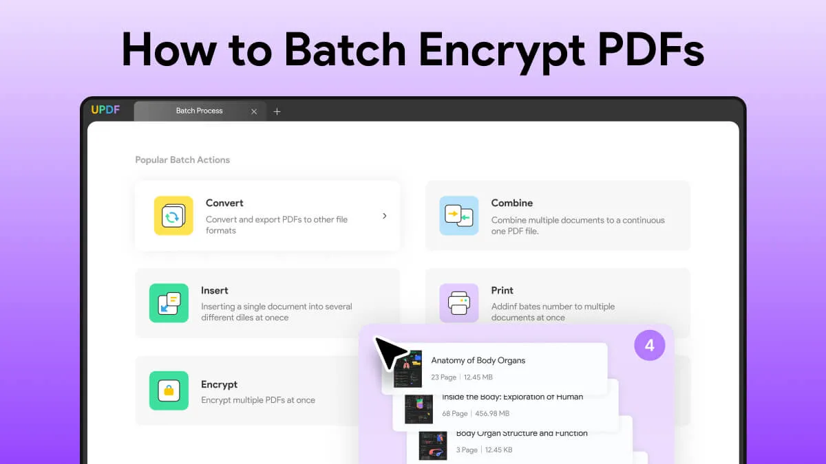 2 Best Methods to Batch Encrypt PDFs  