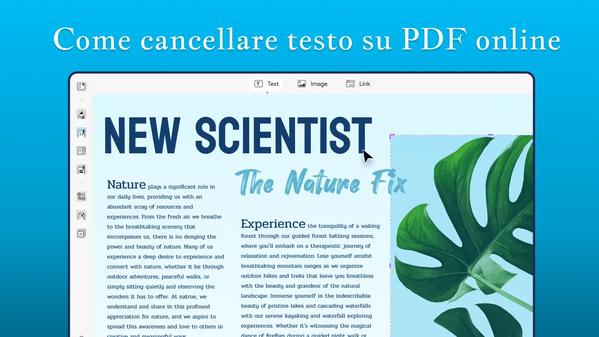 Guida completa per cancellare testo su PDF online