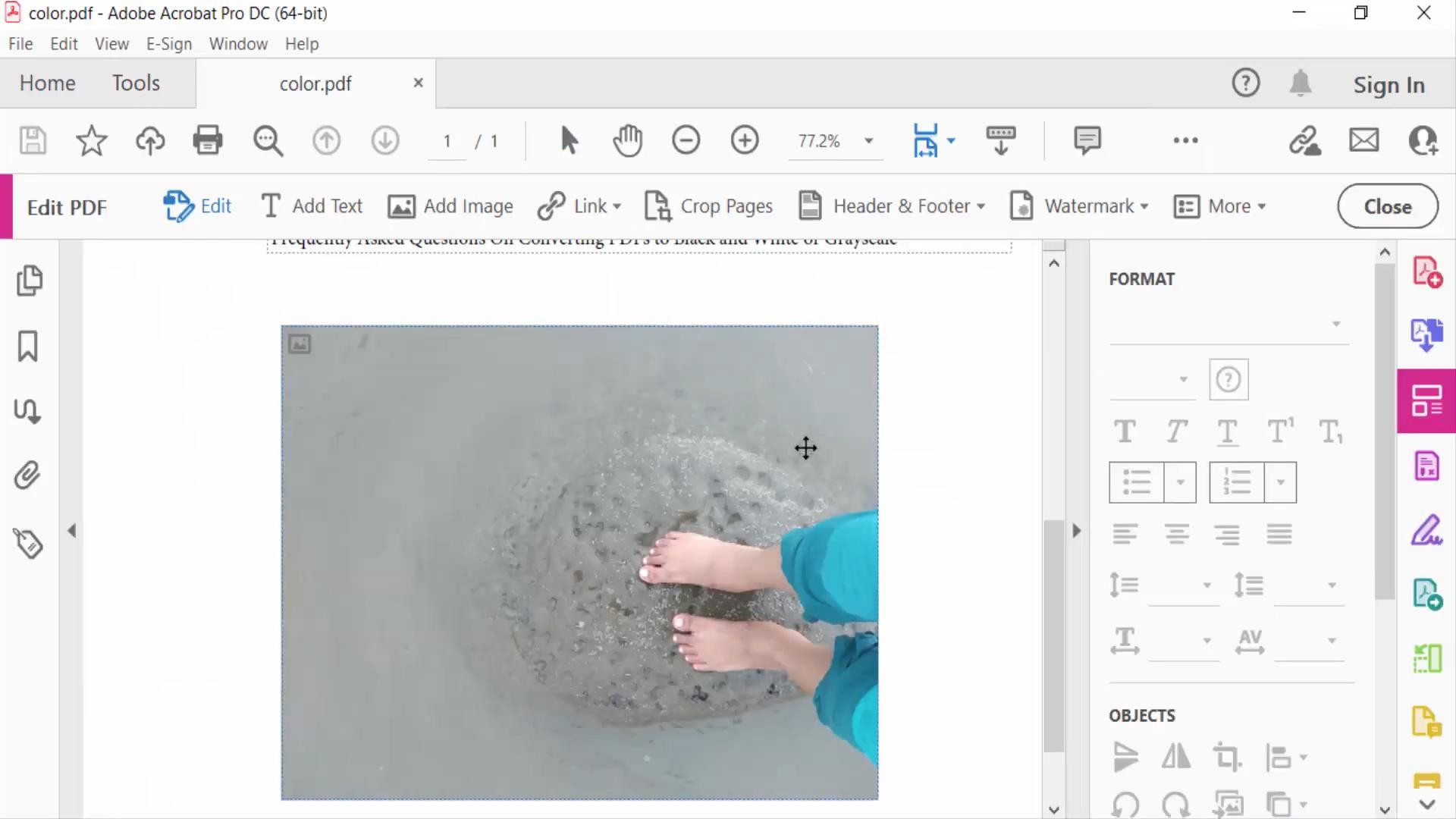 The Selected Image in Adobe Arobat