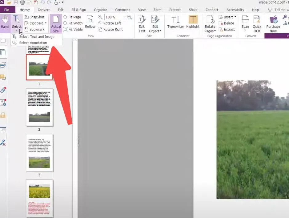 Selecting Image in foxit